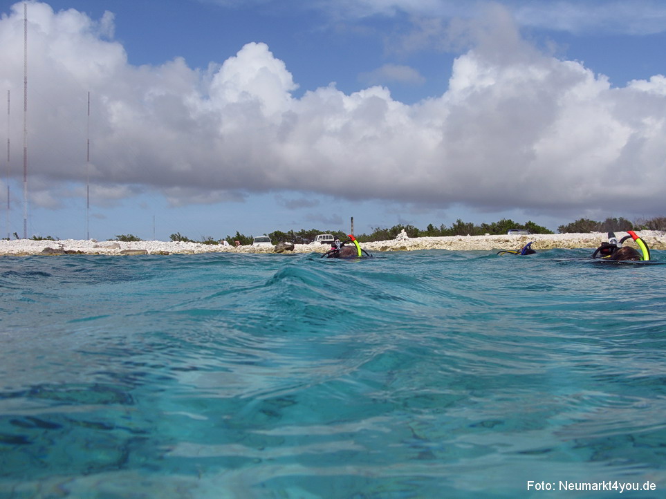0029 Insel Bonaire 2009
